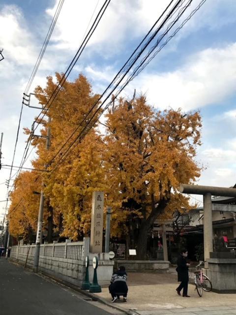 Sky Tree Inn Tokyo prefektur Exteriör bild