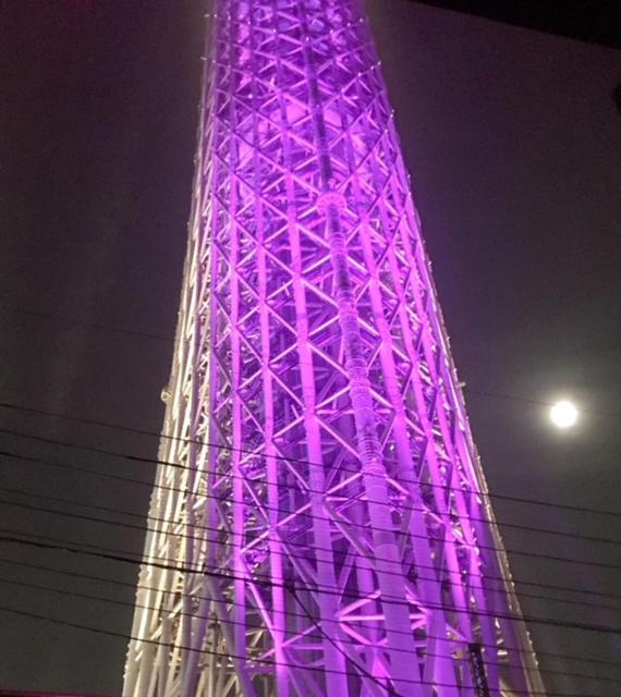 Sky Tree Inn Tokyo prefektur Exteriör bild