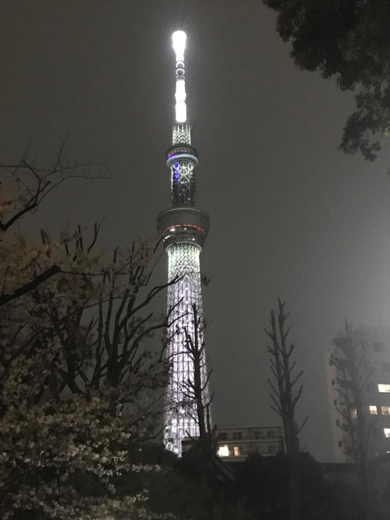 Sky Tree Inn Tokyo prefektur Exteriör bild