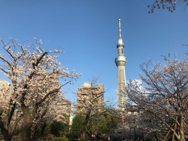 Sky Tree Inn Tokyo prefektur Exteriör bild