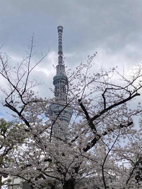 Sky Tree Inn Tokyo prefektur Exteriör bild